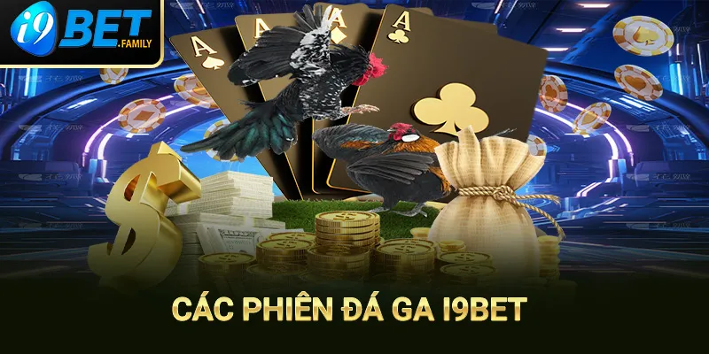 Phiên đấu đá gà i9bet