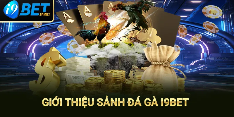 Sảnh đá gà i9bet