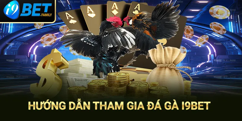 Hướng dẫn chơi đá gà i9bet