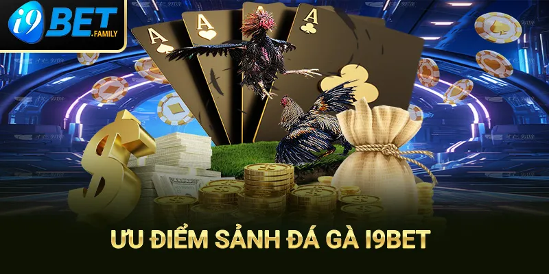 Ưu điểm đá gà i9bet